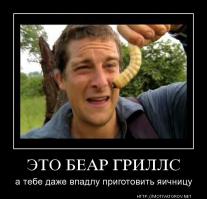 Медвежий угол Где обитает и куда любит ездить главный хищник экстремал