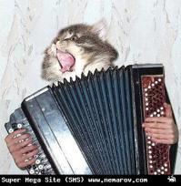 Случай из жизни