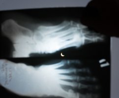 Друг скинул, фотограф, Ден. :)