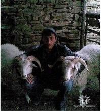 Дак а де правильный петух-то???