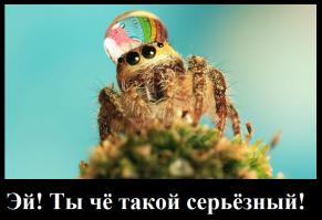 Макрофотографии микромира