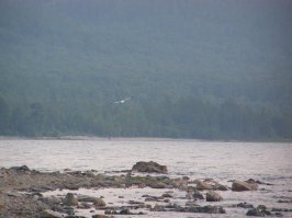 Не удержусь. Выложу пару фоток с того же Горячинска