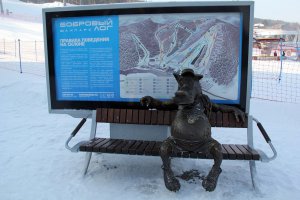 В Красноярске, в Бобровом Логе тоже волк сидит.