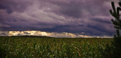 У меня такая есть