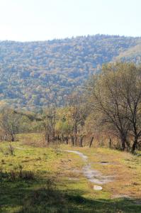 давеча сфотал 15 км от Хабаровска