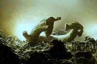 Первая экспозиция - что-то из вселенной чужих