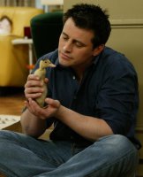 вот и хозяин