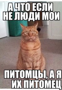  Я не попала на концерт, зато нашла верного друга 