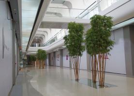 Тропарево, последние штрихи