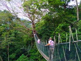 В Малайзии, в заповеднике Таман Негара покруче будет ;)