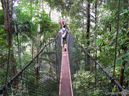 В Малайзии, в заповеднике Таман Негара покруче будет ;)