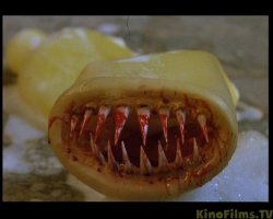 А как же легендарный "Презерватив убийца"!!! :) Без него этот топ ниочем!