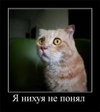 Сказка стала несправедливой