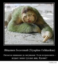 А тем временем, в Бразилии встречали украинский ФК "Шахтер"