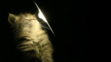 Подруга знает лучше