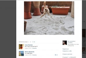 Смешные комментарии из социальных сетей 19.02.15