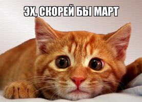 Фишкина солянка за 04.07.2014