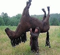 Забытые богатырские рекорды, которые так никто и не побил