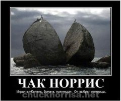 Гифки дня