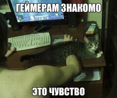 Фишкина солянка за 18.07.2014