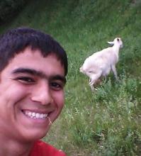 Фишкина солянка за 18.07.2014