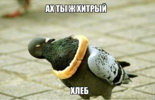  Такой наглости вы еще не видели