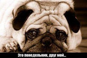 Фишкина солянка за 03.08.2014