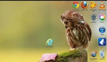 Совы - воистину удивительные создания