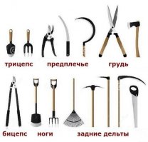  Лучшее упражнение на пресс