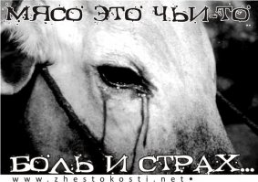 Рецепты по засолке сала в домашних условиях, готовим, едим