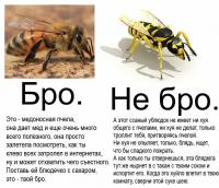 Неожиданный сюрприз на даче