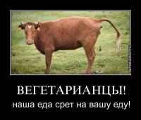 Про Веганство 