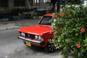 и не смог определить что это