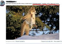 Есть такие случаи, есть, вот ещё к примеру: