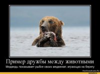 Есть такие случаи, есть, вот ещё к примеру: