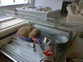 Добавлю свою сковородку.