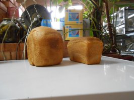 1 - хлеб немного дороже получается(из-за веса - 700 грамм против 470)
2 - выпекается 4 часа(ставлю на ночь)
3 - вкусовые качества не идут ни в какое сравнение с покупным
(с хлебопечки намного(!!!) вкуснее)
и т.д. 
т.е. полюбому я теперь не откажусь от хлебопечки..
про фирму ничего сказать не могу - не сравнивал.. пользуюсь одной..
ну и для сравнения внешне..)))