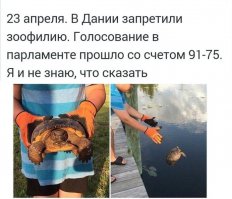 мой день состоялся...
просматривал подборку.. увидел вот так