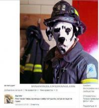 Смешные комментарии из социальных сетей 11.09.14