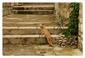 Фотоподборка за 25.07.2014