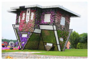 Еще парочку фоток от туда же