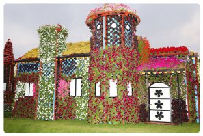 Еще парочку фоток от туда же