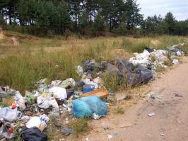 Такую картинку все видели? И этот мусор никто не уберет...