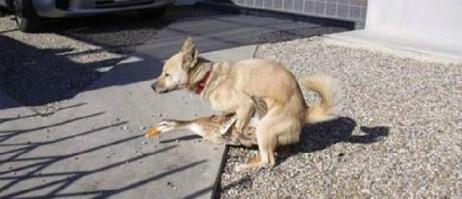 В нужный момент