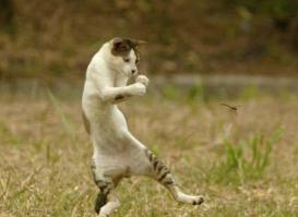 По одному удару на двоих.