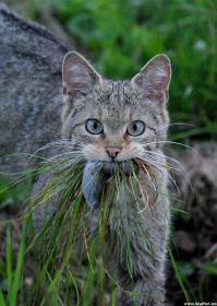 Фотоподборка за 12.08.2014