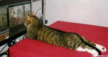 Фотоподборка за 18.08.2014