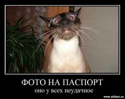 Как выглядели паспорта знаменитостей 