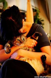 Котики удивляют и улыбают 