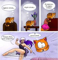 В Новой Зеландии кот десять лет жил на две семьи